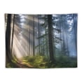 thumbnail image 5 of COMIO  Misty Forest Tapestry Wall Hanging Nature Landscape Tapestry Sunshine Through Tree Tapestries for Bedroom Living Room Dorm Decor(40×30inch), 5 of 7