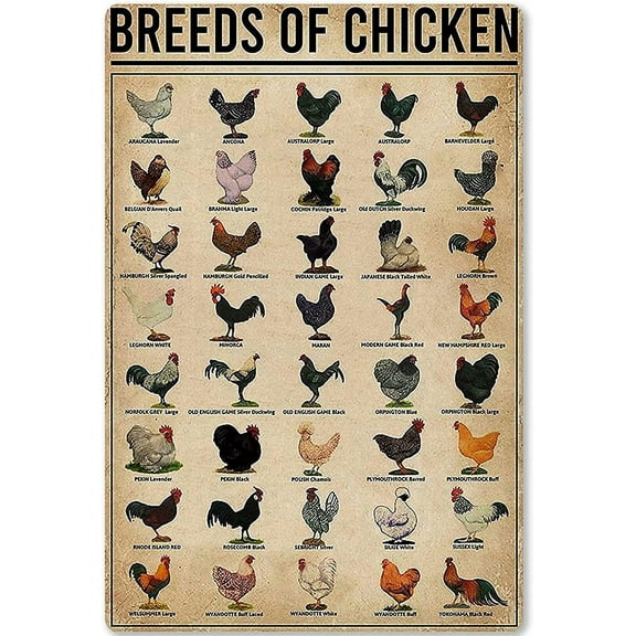 Breeds Of Chicken Metal Sign Wall Decor Chicken Lore Retro Plaques Farmers Home Chicken Coop Farm Poster Decor Country Porch Patio Farmhouse Backyard Size: 12 x 16 inch