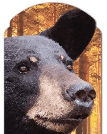 Thermometer Hanging Metal ~22 Gauge Metal Lithograph Print Measures 5" x 17" Indoors or Outdoors {Black Bear}