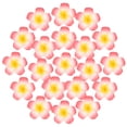 thumbnail image 1 of Uxcell 20-Pack Flores de Plumeria Artificiales, Cabezas de Flores de Seda Falsas Plumeria en Bulto para Manualidades/ Vestidos/ Decoración de Bodas/ Fiestas [Corazón Amarillo Rojo, 3.35"/ 8.5cm], 1 of 6