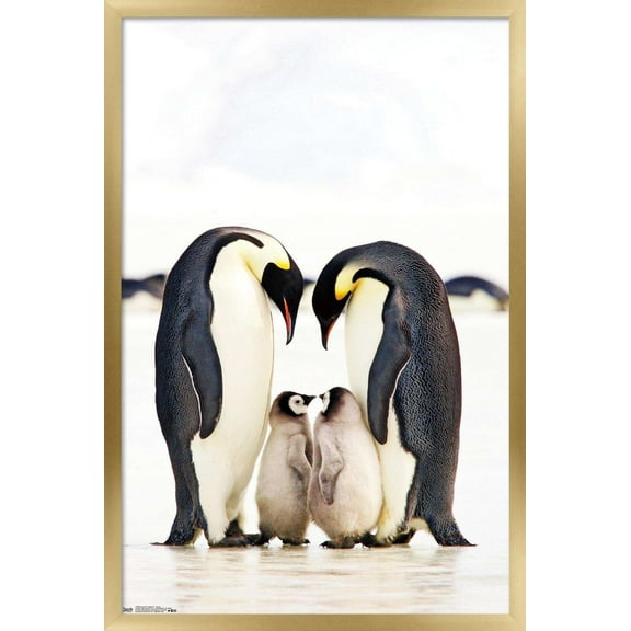 A Group Of Emperor Penguins Wall Poster, 22.375" x 34", Framed