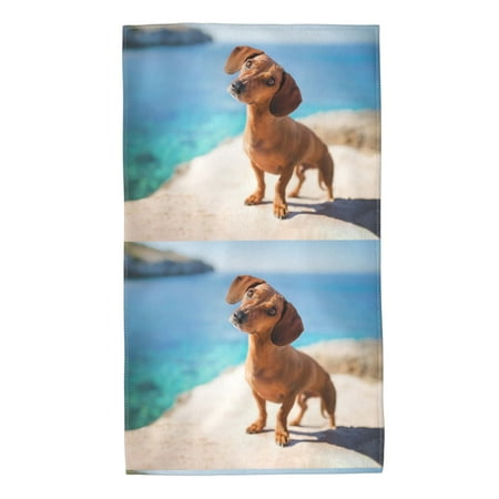 

Home Towels Dackel Hund-----Dachshund Dog Absorbent Hanging Hand Towel Small Bath Towel Decorative Kitchen Dish Guest Towel For Spa Gym Hote27.5x16in