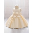 thumbnail image 3 of Suealasg Little Girls Ball Gown Princess Dress 6M 1T 2T 3T 4T 5T Kids Girls Sleeveless Crew Neck Flower Beaded A-line Dress Child Girls Evening Formal Party Dress, 3 of 6