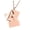 Rose Gold Color, variant on Stainless Steel Photo Frame Envelope Necklace Locket Necklace for Women Men
