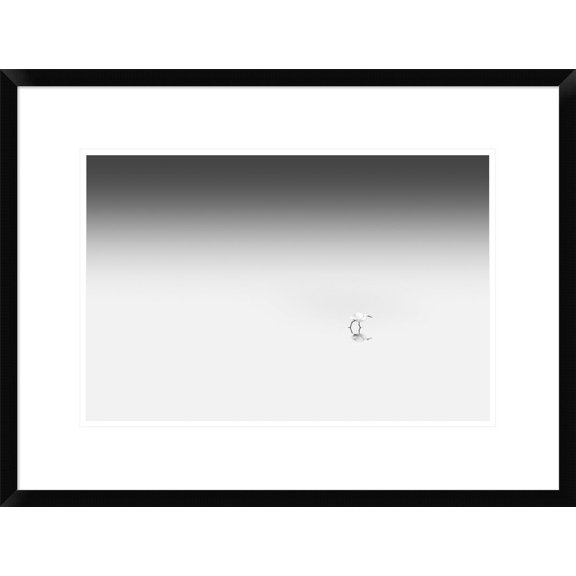 Global Gallery Pietro Bevilacqua 'Going To TheRights' Framed Wall Art