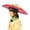 A, variant on Kids' Fish Design Umbrella Hat, Foldable & Waterproof, 20.47 inch Diameter, Adjustable Strap