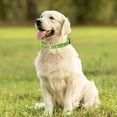 thumbnail image 4 of Collar de identificación de perro personalizado personalizado, collar de teléfono con nombre de mascota bordado MFZFUKR CPB-US-XAH127-3, 4 of 5