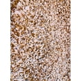 thumbnail image 5 of Micro Landscape Design 2 lb (1.5 Quarts) Gritty Mix Pumice Based / Excellent Soil-less Potting Medium / Perfect Potting Soil for Lithops Succulent, 5 of 7