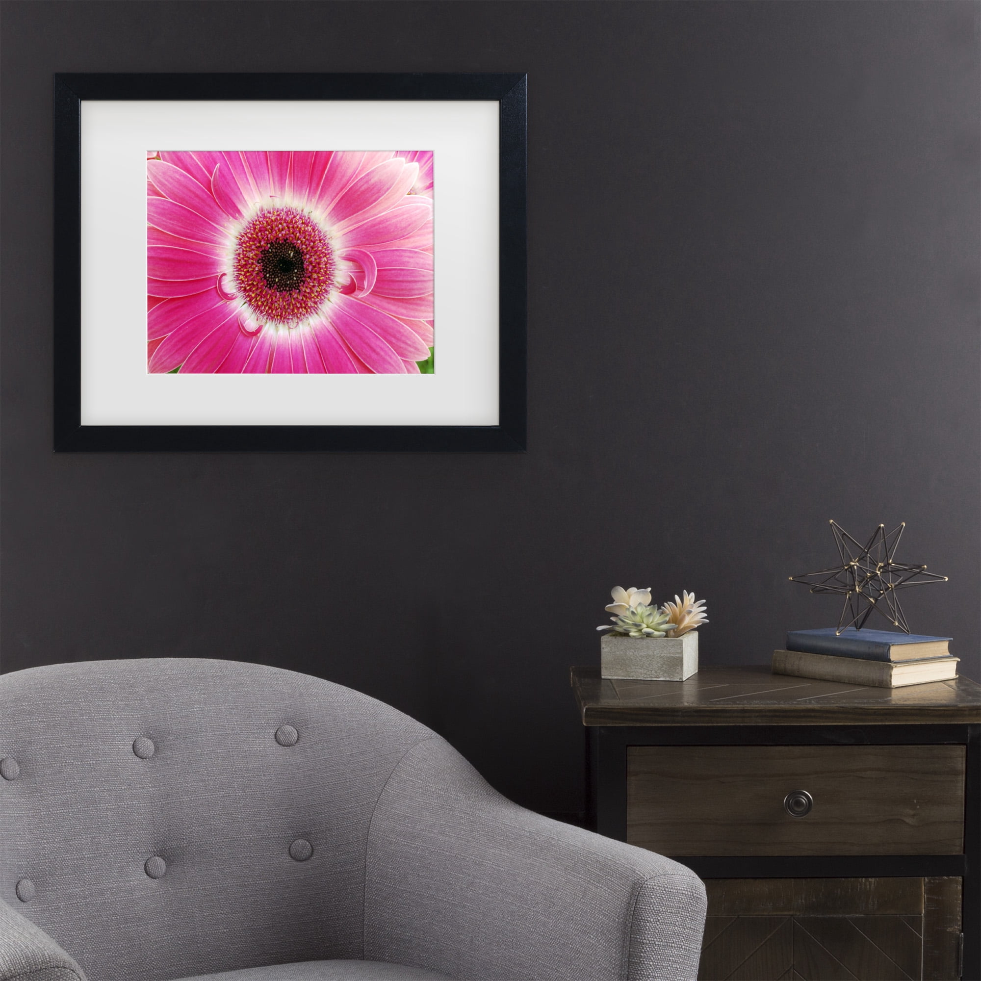 Trademark Fine Art 'Pink Gerber' Canvas Art by Kurt Shaffer