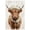 Unframe-style, variant on Vintage Highland Cow Wall Art Rustic Farmhouse Floral Crown Heifer Poster