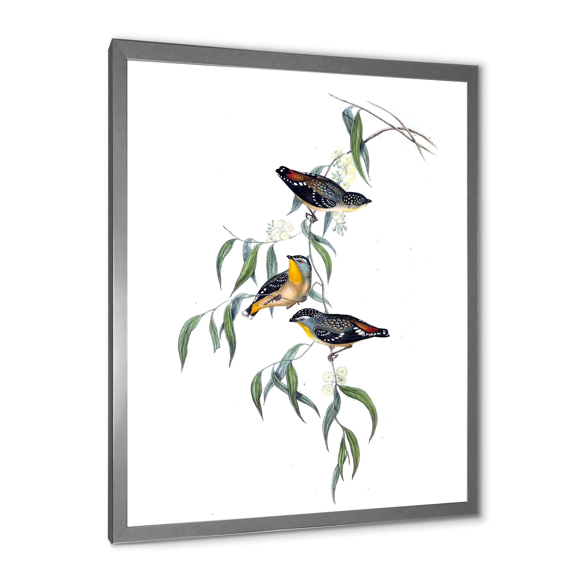 Designart 'Ancient Bird Life III' Traditional Framed Art Print