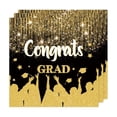 thumbnail image 1 of SIYTUAU Paper Napkins 20 Pack Graduation Party Disposable Tissue For Ceremony Table Decorations 13 Inch, 1 of 8