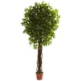 thumbnail image 1 of Nearly Natural 5379 7.5 ft. Ficus Tree UV Resistant - Indoor-Outdoor, 1 of 5