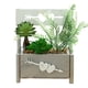 thumbnail image 1 of Plantas verdes artificiales de decoración creativa de moda en macetas suculentas de simulación de flores falsas, 1 of 5