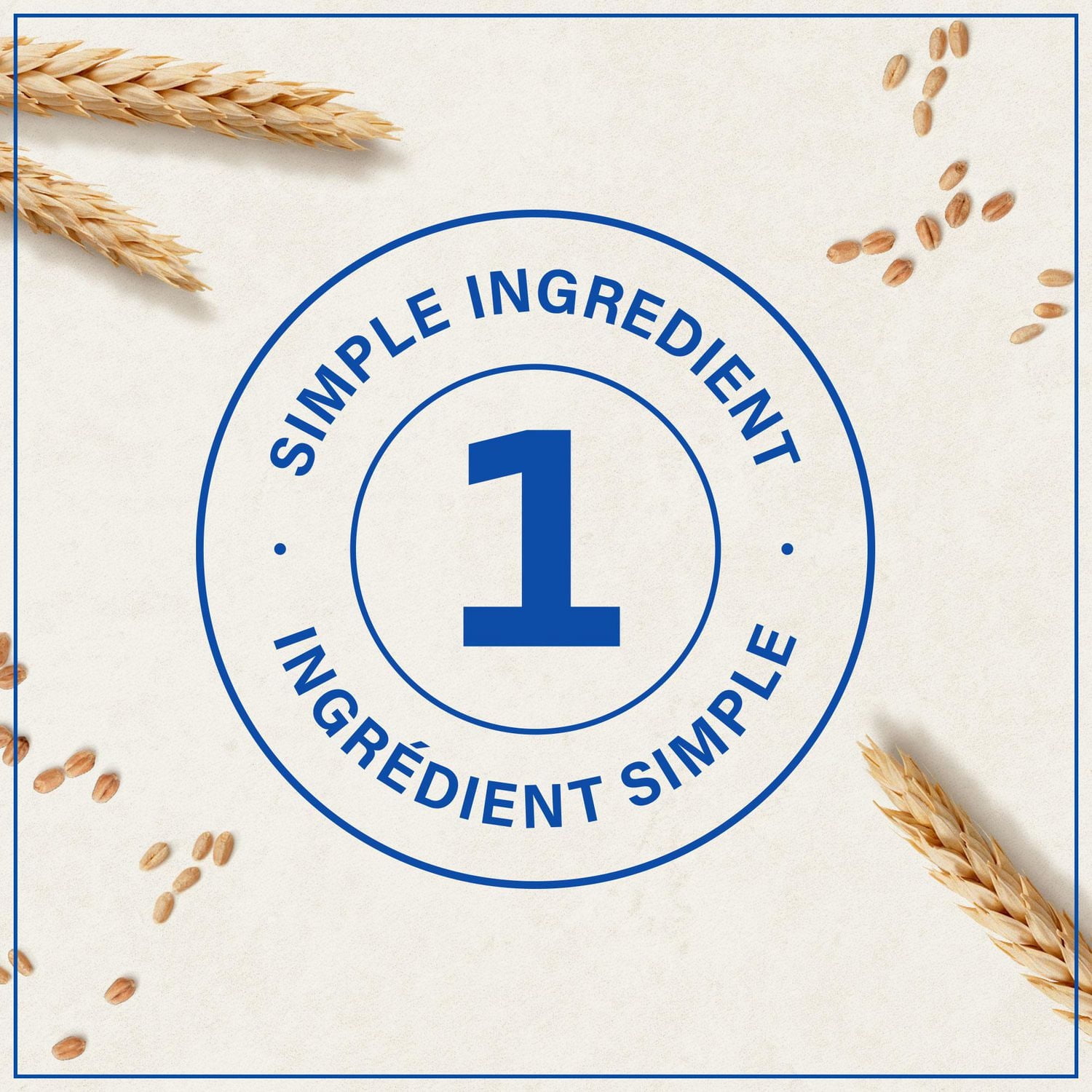 Pâtes Catelli Classiques, Alphabets 375 g 375 g