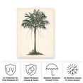thumbnail image 3 of Melissa Wang 'Palm Tree Study II' Outdoor Canvas, 3 of 3