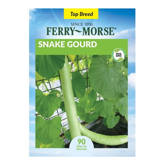 Ferry-Morse 2G Squash Snake Gourd Annual Vegetable Seeds, Full Sun