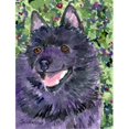 thumbnail image 1 of Carolines Treasures SS8822CHF 28 x 40 In. Schipperke Flag Canvas- House Size, 1 of 4