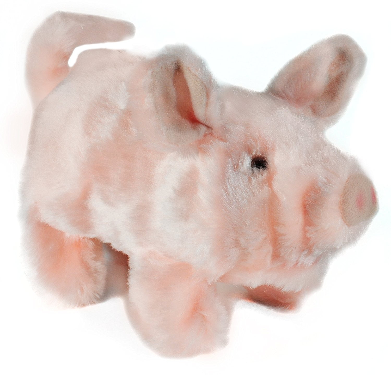 Walking oinking best sale pig toy