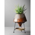 thumbnail image 4 of Home Decoration, Ceramic Vases, Juicy Plants, Flower Pots, Two-color Rough Ceramic Iron Frame, Living Room, Interior Decoration My Lux Decor Round, 4 of 9