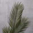 thumbnail image 2 of Ashland Green Tropical Areca Palm Stem, 12 Pack, 2 of 4