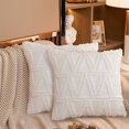 thumbnail image 3 of Throw Pillow Cover Plush: 2PCS Modern Pillow Case Cushion Cover Pillow Protector, 3 of 10