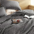 thumbnail image 3 of Cozy Comfort 3-Piece Grey Quilt Bedding Sets, King, 3 of 7