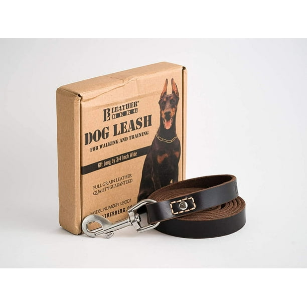 Training leash walmart 2025