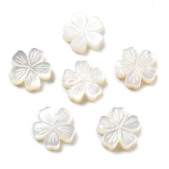 Natural White Shell Carved Beads Flower 11.5~12x12x2.5~3.5mm Hole: 0.8~0.9mm