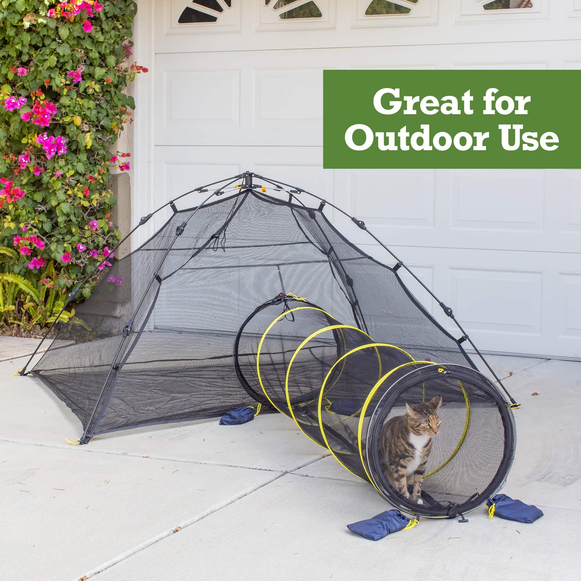 outback jack cat tent
