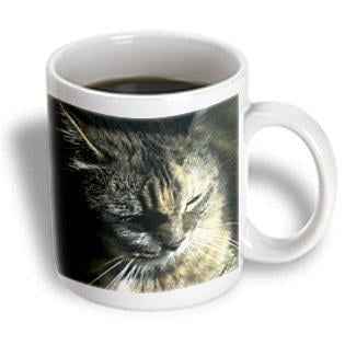 

3dRose Gorgeous Maine Coon Cat The Queen Ceramic Mug 11-ounce