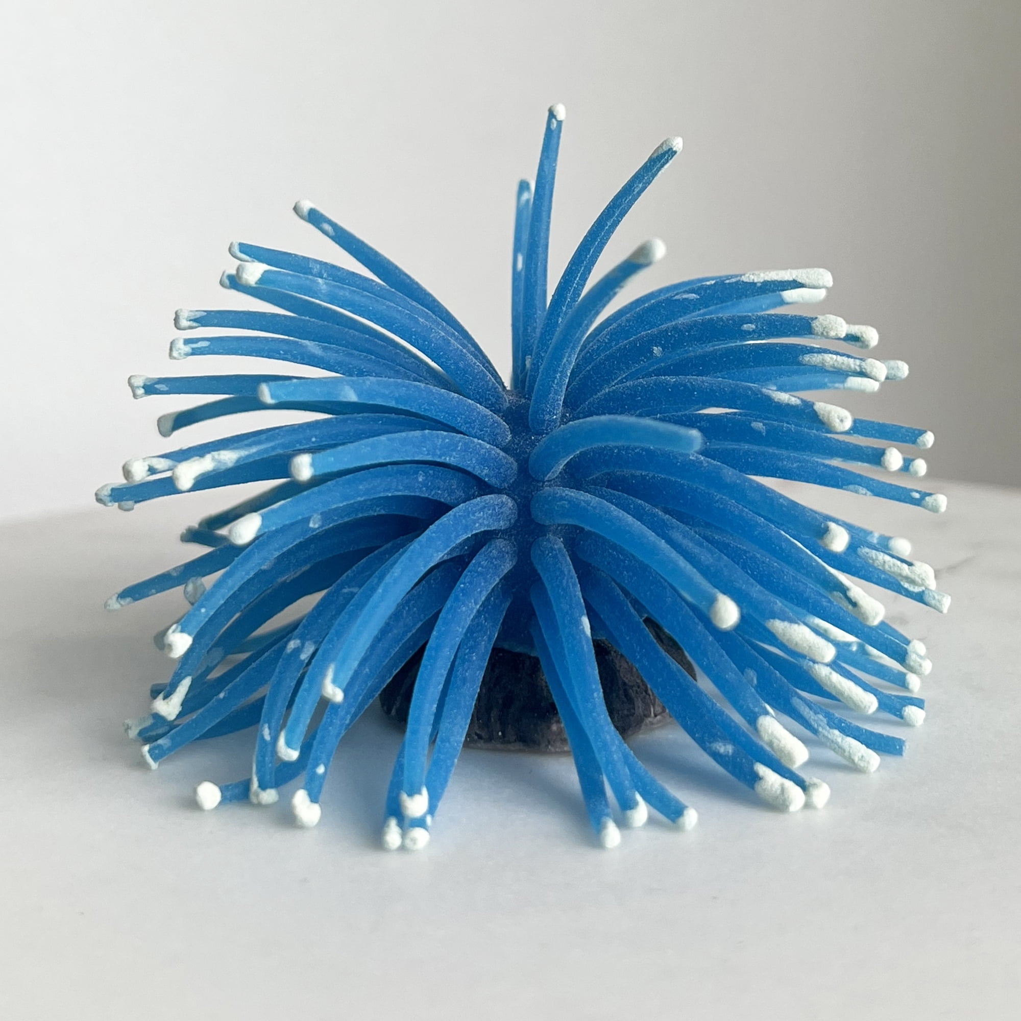 Aqua Culture Silicone Anemone in an Assortment of Colors