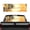 Golden Sunset Palm, variant on FUIALDOLG Golden Cloud Crane Back Window Decals for Trucks Perforated Polyester Film Rear Window See-Through Decal 66"x22" for SUV Pickup
