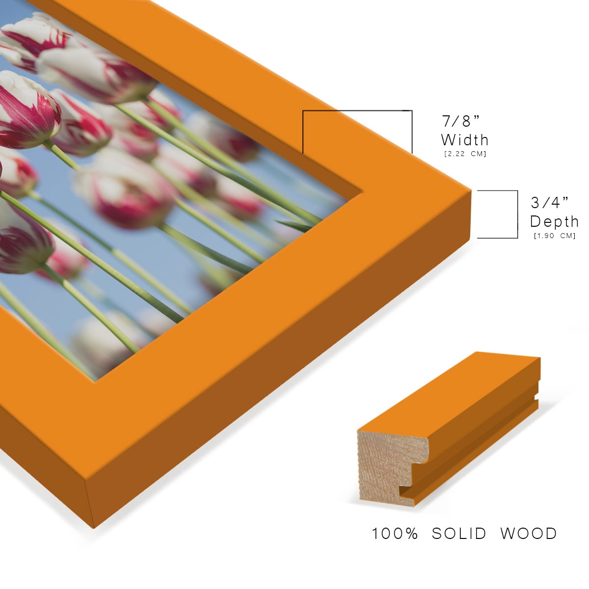 Modern 4 in. x 6 in. Orange Picture Frame (Set of 4)
