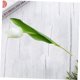 thumbnail image 5 of unbranded Falsos Amarillos Con Tallo De Para En Fiestas Y Ambientes, 5 of 8