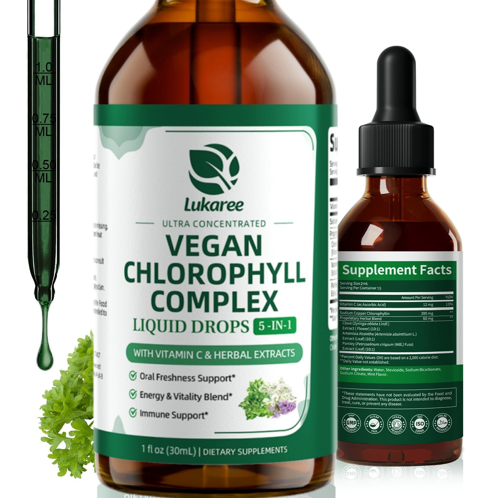 Vegan Chlorophyll Liquid Drops 200mg, Advanced Liquid Chlorophyll for Natural Cleansing & Immune Health, Internal Deodorant, Skin & Gut Health, Sugar-Free, Non-GMO, 1 Fl Oz - Mint Flavor