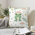 thumbnail image 6 of Kll Frog And Mushrooms Decorative Throw Pillow Covers Velvet Soft For Couch Sofa Bedroom Living Room Outdoor -18"X18", 6 of 8