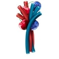 thumbnail image 4 of Jolly Rancher Ropes Blue Raspberry and Cherry Flavored Candy, Bag 10 oz, 4 of 9