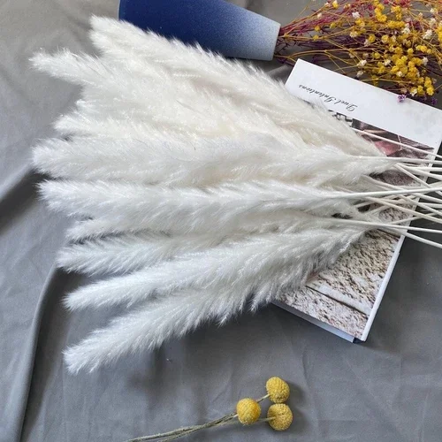 15Pcs Natural Dried Pampas Grass 24 In. Reed Flower Wedding Bouquet Home Decors
