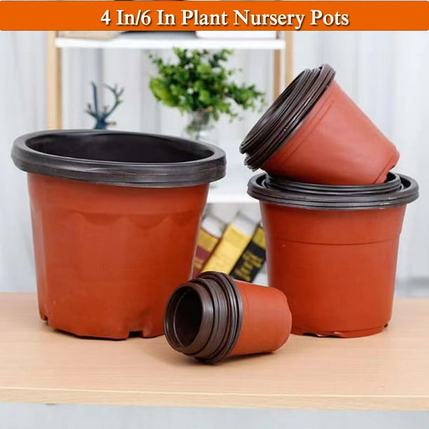 Parenting Pots, 4/6 Inches , Plastic Flower Pots with Plant Labels