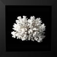thumbnail image 2 of Urban Road 15x15 Black Modern Framed Museum Art Print Titled - White Coral II, 2 of 5