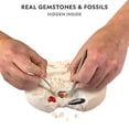 thumbnail image 2 of NATIONAL GEOGRAPHIC Mega Fossil and Gemstone Dig Kits - Excavate 20 Real Fossils and Gems, Great STEM Science Gift for Mineralogy and Geology Enthusiasts of Any Age, 2 of 3
