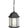 Forte Lighting 1-Light Outdoor Hanging Lantern