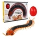 thumbnail image 2 of Control remoto biónico animal insecto control remoto cucaracha ciempiés Rana eléctrica cangrejo truco araña juguete serpiente salvaje ratón, 2 of 5