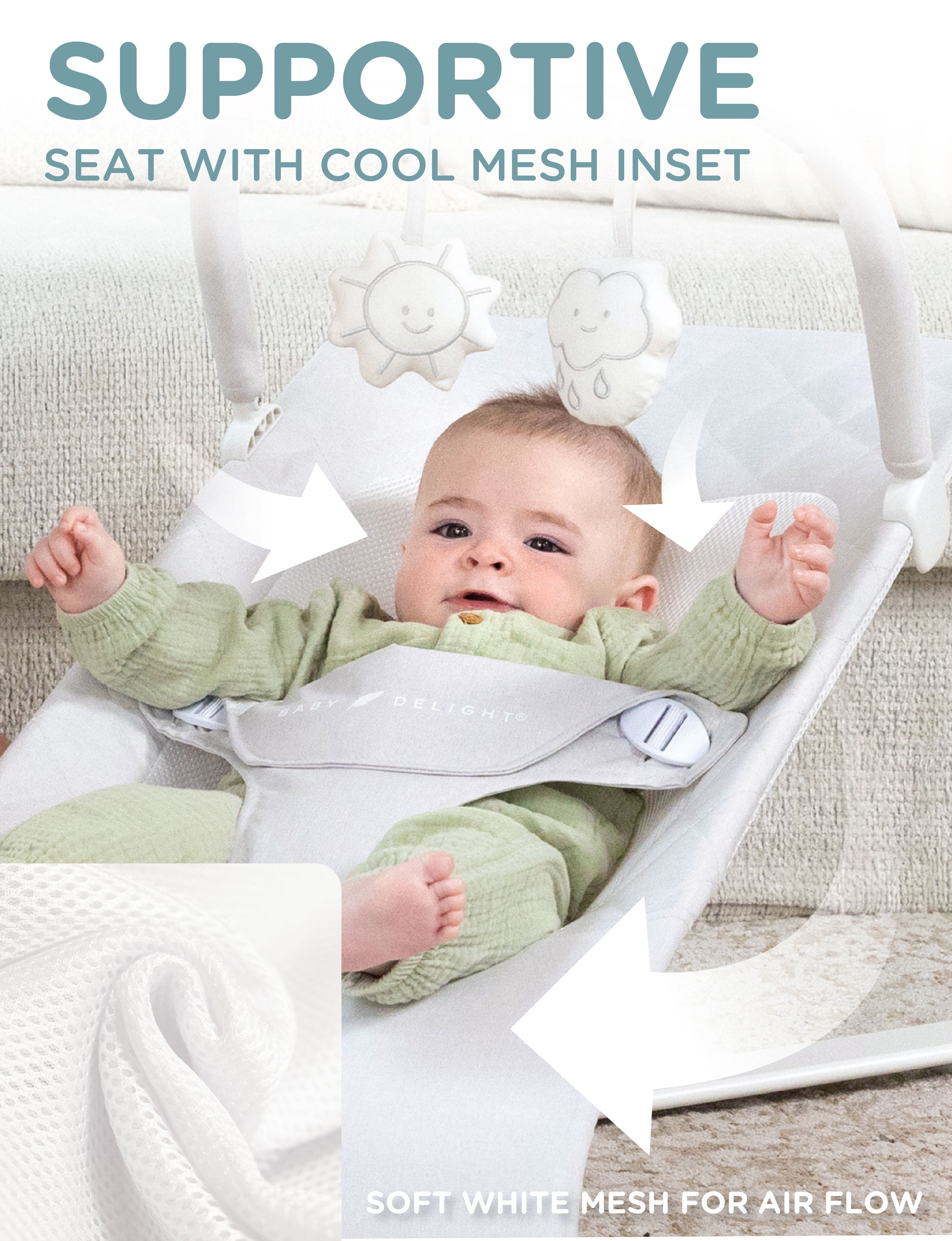 Baby Delight Alpine Deluxe Portable Bouncer, for Infants 0-6 Months, Driftwood Grey