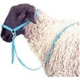 thumbnail image 2 of Jeffers Livestock Nylon Sheep Halter & Lead Set – Brass Plated ¾" Adjustable Halter with 6ft Rope for Sheep, Goats, Lambs – Farm, Ranch, Barn, Stable, Milking, Show, Training Gear - Black, 2 of 2