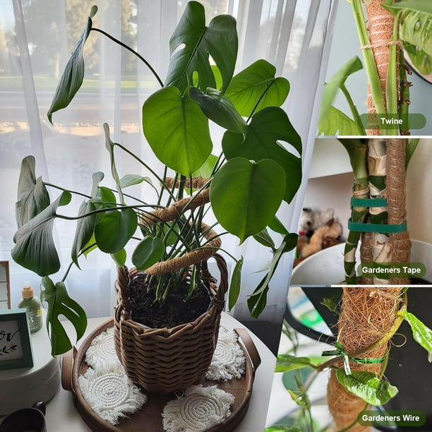 IC ICLOVER [4 Pack] Moss Pole for Plants Monstera, 28 inch