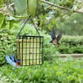 thumbnail image 5 of Pakyozj 2Pcs Outdoor Suet Cage Bird Feeder, Wild Bird Feeder, Single Suet Cake Capacity, Fruit and Suet Feeder Style for Outside Hanging, 5 of 7