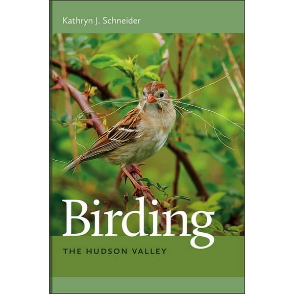 Birding the Hudson Valley, (Paperback)