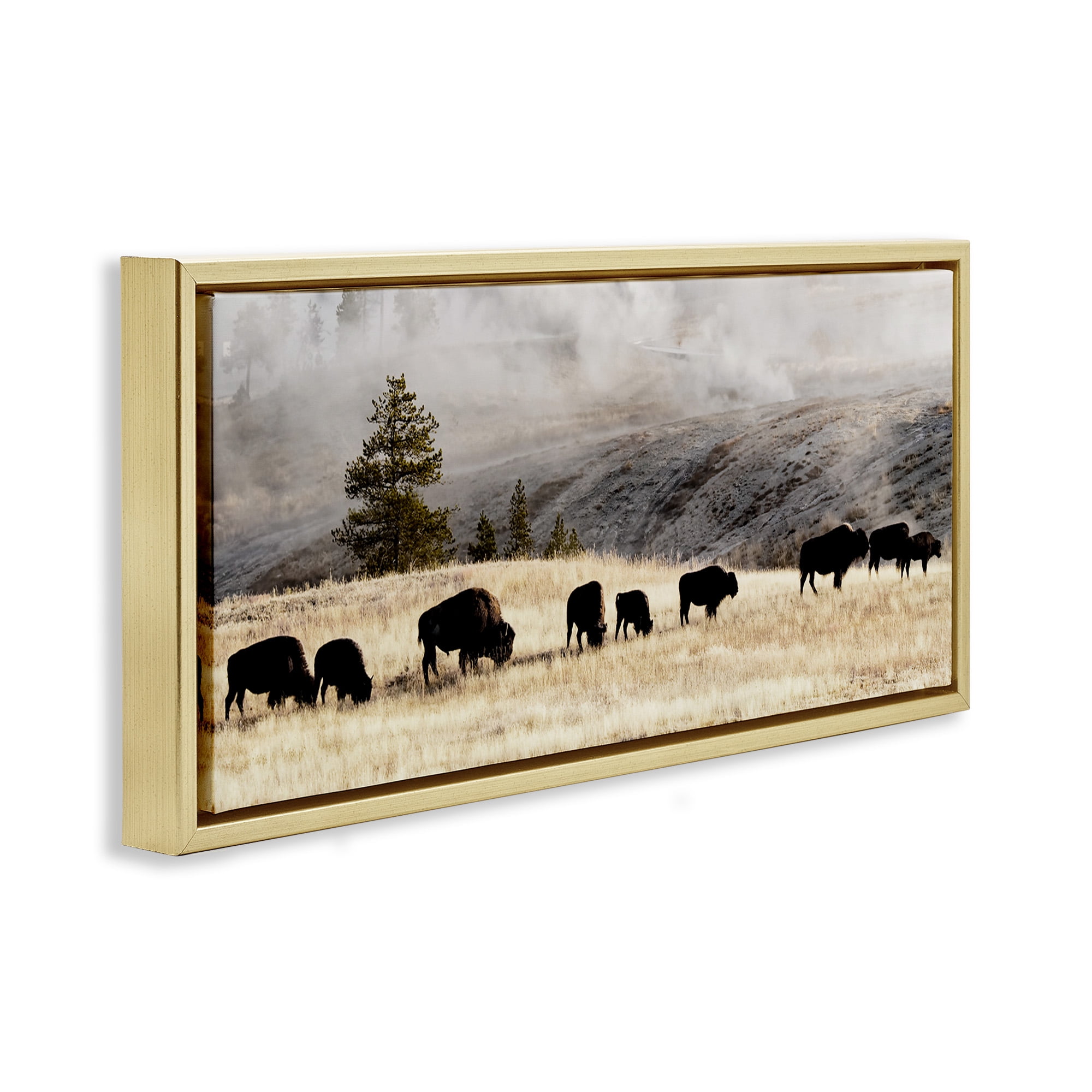 Stupell Industries Grazing Bison Foggy Countryside Animals & Insects Photography Gold Floater Framed Canvas Art Print Wall Art, 25 x 11